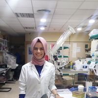 Birsen Yılmaz的照片