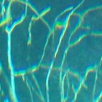 Andres Markiewicz的照片