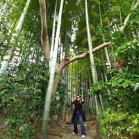 Fotos de Karla Covarrubia