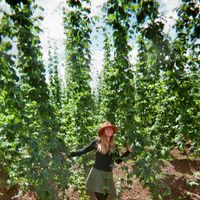 Le foto di Ja Simbuerger