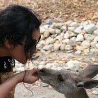 Photos de Pamela Ildefonso