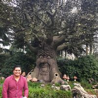 Fotos de DAVID  MONTIEL