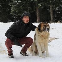 Photos de Kadir Yenal