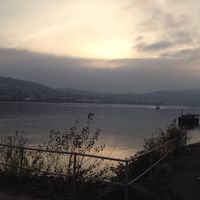 Mohammad AL-Sayed Ali的照片