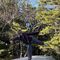 Photo of S