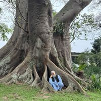 Mohammadelyas Dehvari的照片