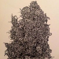 Dom Henderson's Photo