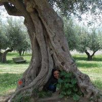 Chiara Caiello's Photo