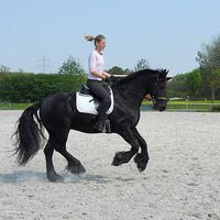 Bianca Froelich's Photo