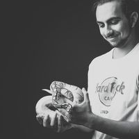 Philipp Wiesner's Photo