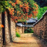 Hhhhh huxjfjfkcifif's Photo