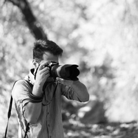 alireza mahmoodi的照片