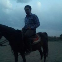 Mohammad Reza Rashidi的照片