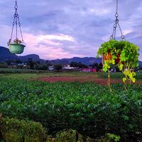 maritza graveran's Photo