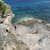 Elisabeth Fuchs的照片