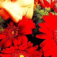 Irene Soffietti's Photo