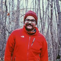 Mohammad Khakzad的照片