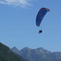 rose schulz的照片