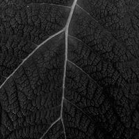 Andres Echeverri's Photo