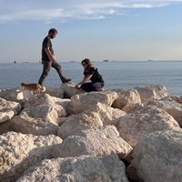 Mare Nostrum's Photo