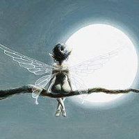 Vanessa Motus's Photo