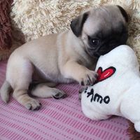 Yüdy Rïvêrä's Photo