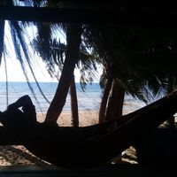 Tissem Lamlou's Photo