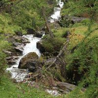 Stefano Apostolo's Photo