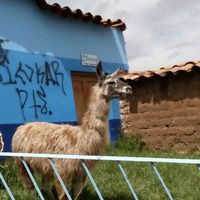 Marianne Weibel的照片