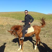 Taymoor Gavilyan的照片