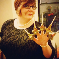 Fotos de Mika Talley