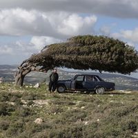 Ala  Hammouz's Photo