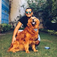 Mohamed Magdy的照片