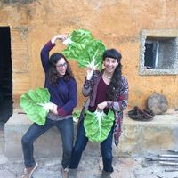 Amanda Bataller Conde的照片