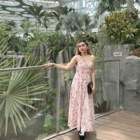 Stella Stella's Photo