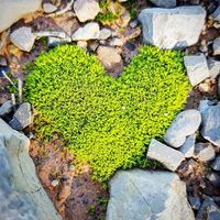 Alma Paula  Aranda Canet's Photo