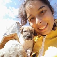 Ingrid Gomes的照片