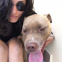 Lavinia Mariani的照片