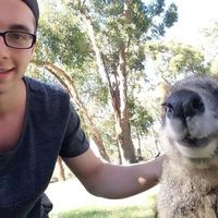 Martn Bauer的照片