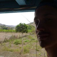 Ivo Int-Veen的照片