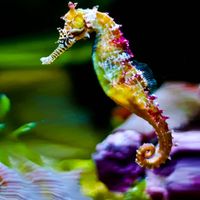 Fotos de Pablo Dos Santo