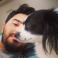 Amin Shaker的照片