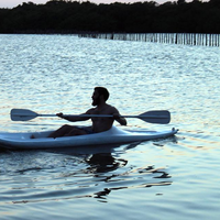 Andres Preve的照片