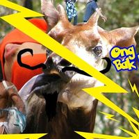 Niels Meeuwes的照片