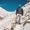 Anil Katwal's Photo