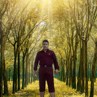 Mohammad Shams's Photo