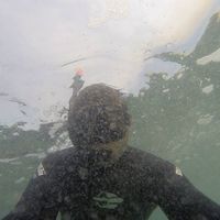 Felipe Borges的照片