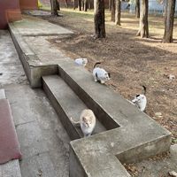 Joseph Hughes's Photo