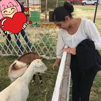 Karen Olvera Rodriguez的照片