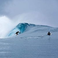 Tristan McCaffrey's Photo